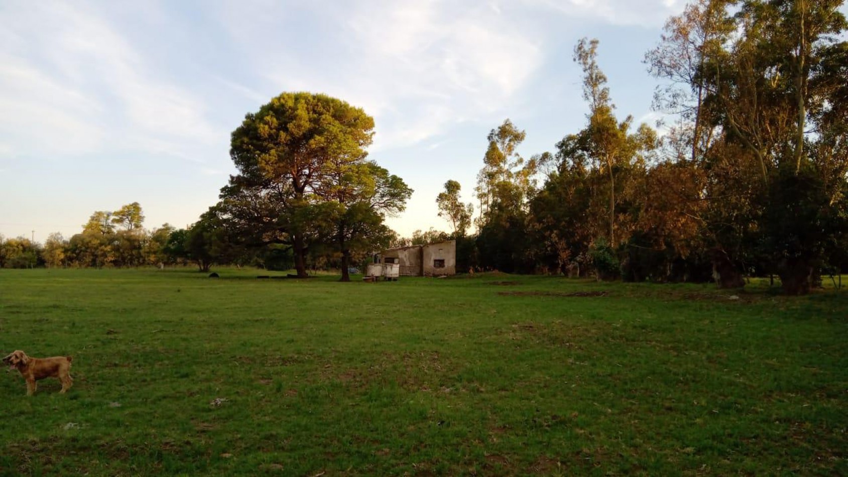 Chacra en Venta Avenida San Martin Orense
