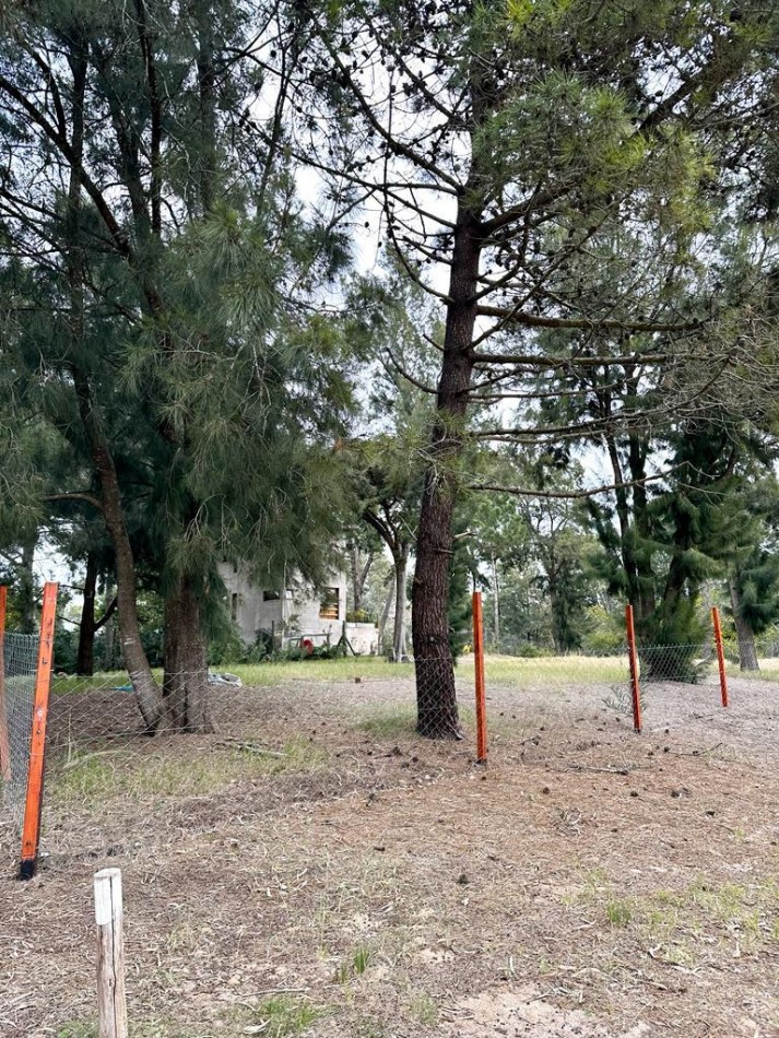 LOTE EN VENTA - Alameda de los Galgos 220 y Calle 313