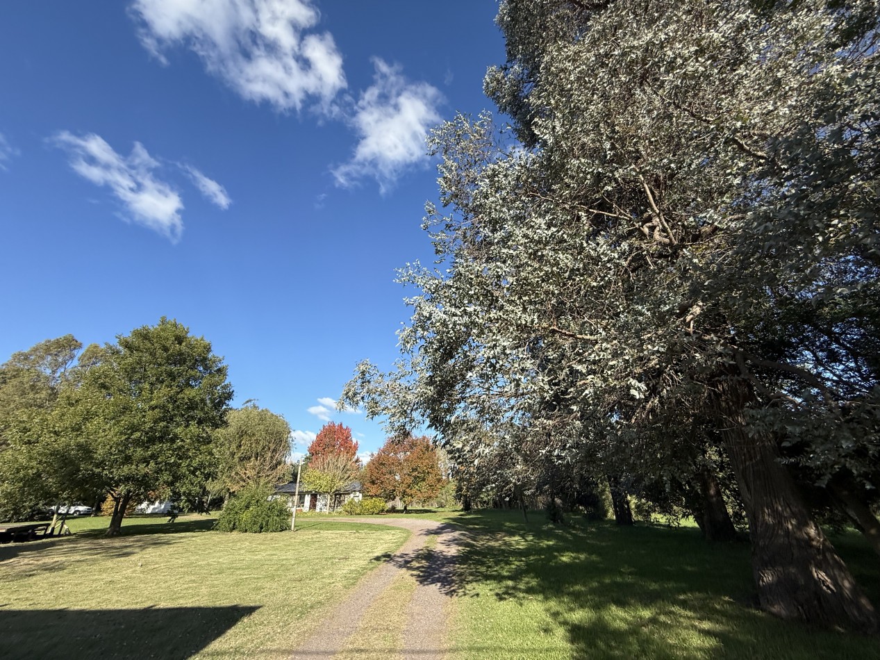 OPORTUNIDAD REAL EN GRAL MADARIAGA - 3 LOTES EN VENTA