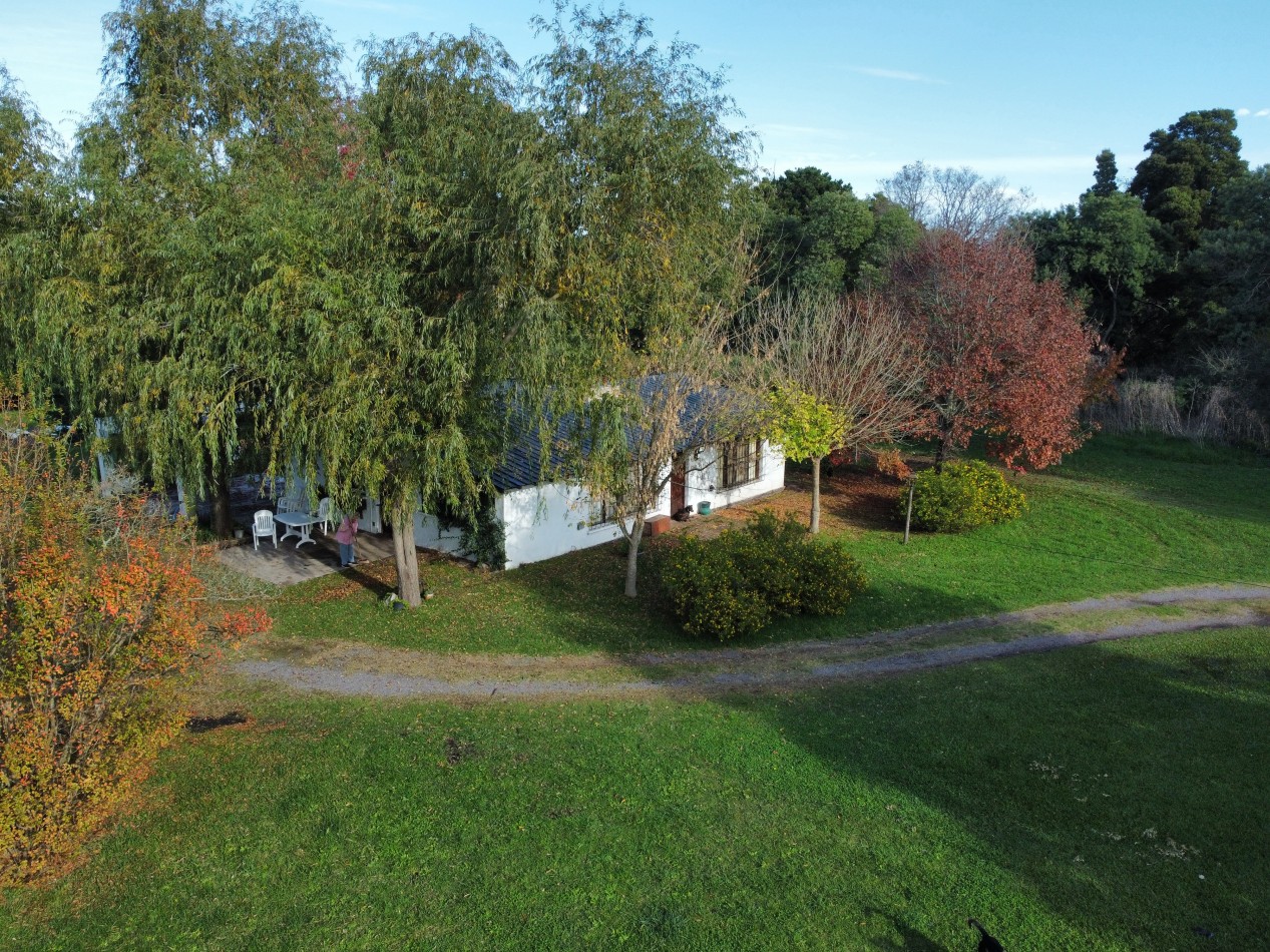 OPORTUNIDAD REAL EN GRAL MADARIAGA - 3 LOTES EN VENTA