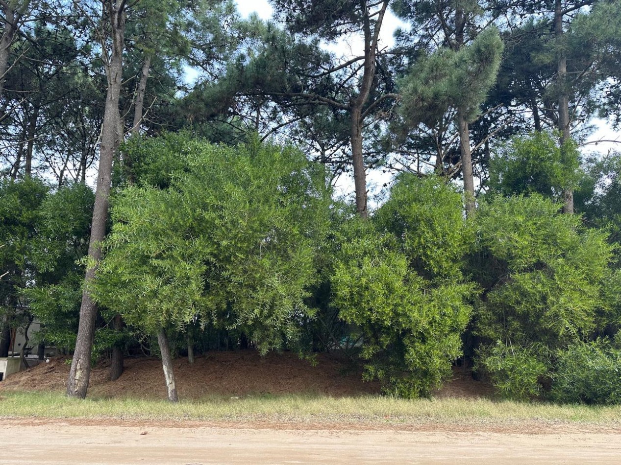 LOTE EN VENTA - PINAMAR
