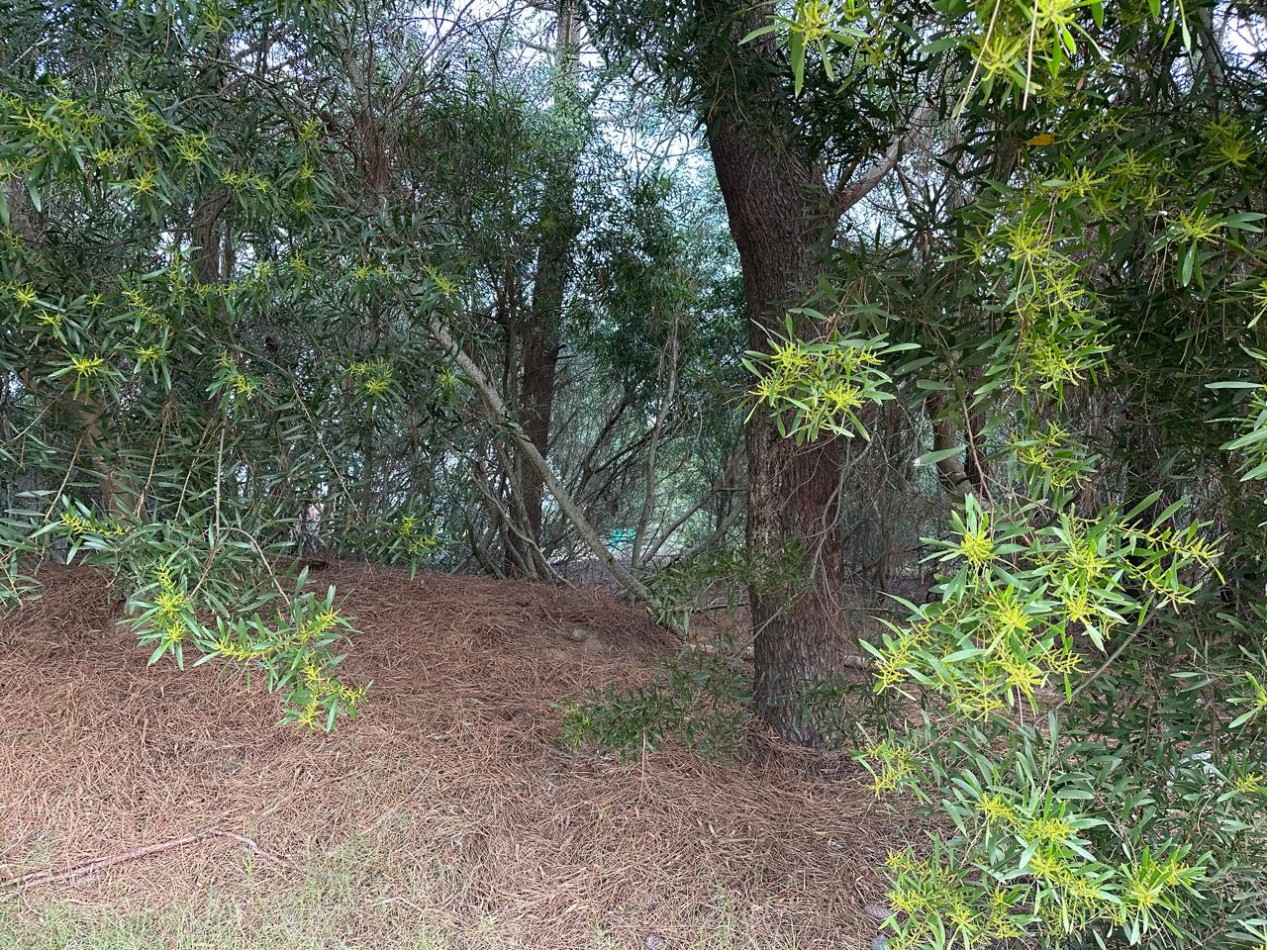 LOTE EN VENTA - PINAMAR