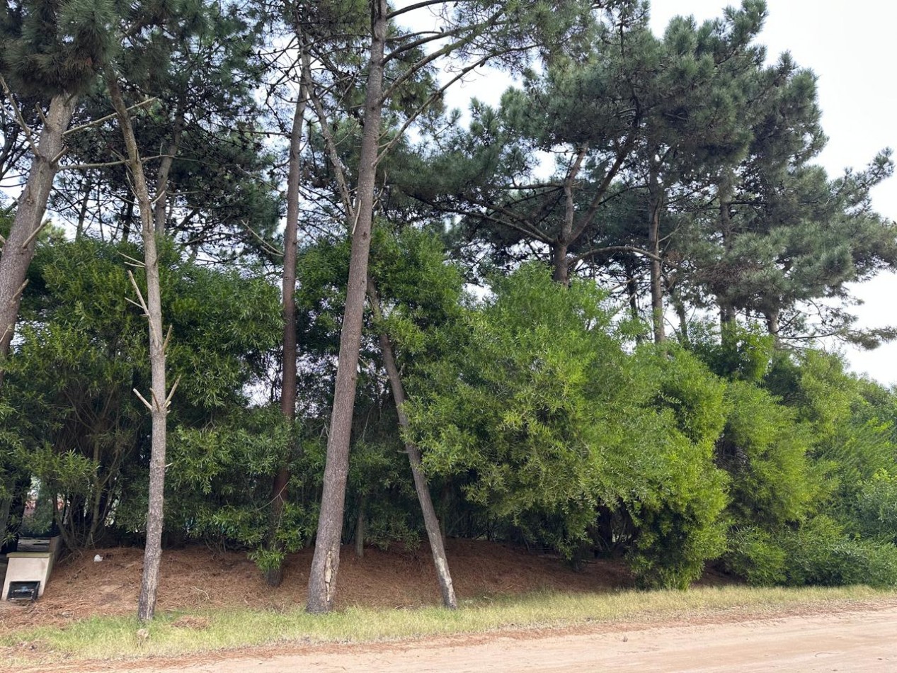 LOTE EN VENTA - PINAMAR