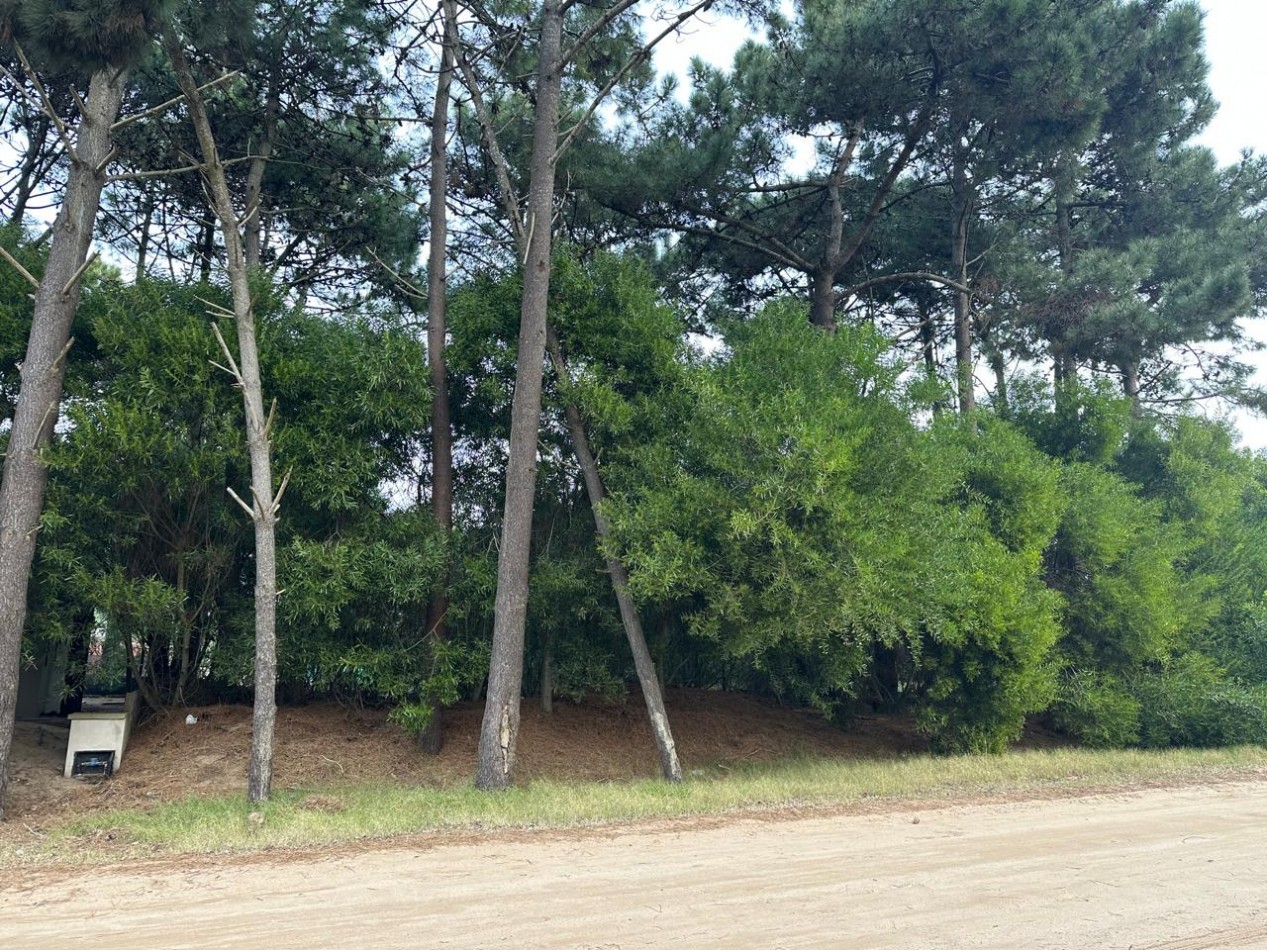 LOTE EN VENTA - PINAMAR
