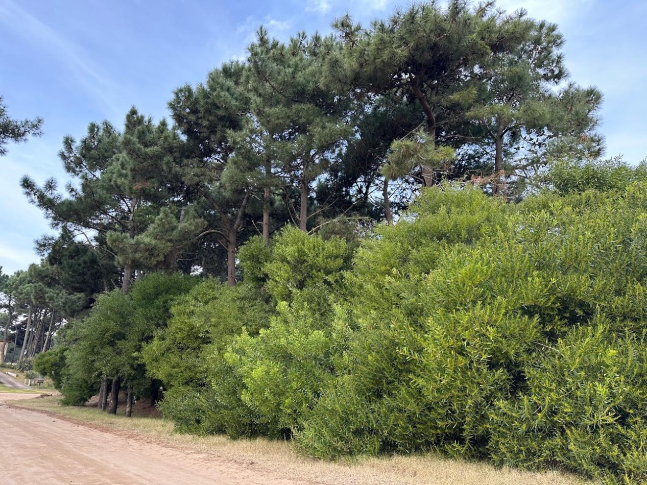 LOTE EN VENTA - PINAMAR