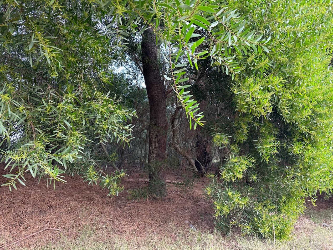 LOTE EN VENTA - PINAMAR