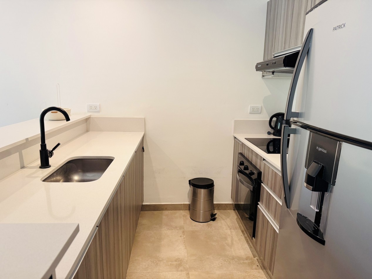 DEPARTAMENTO 2 AMBIENTES - RENATA NORTE 