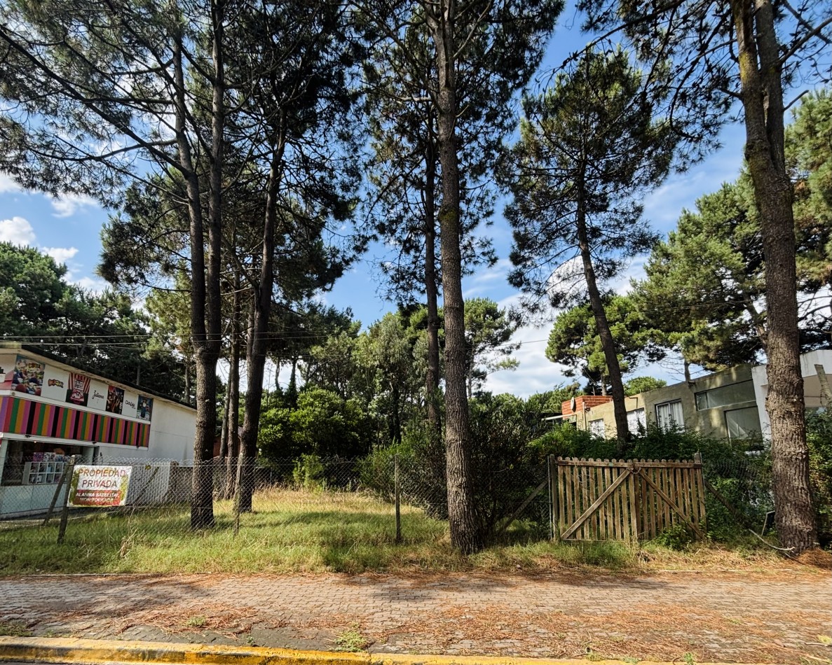 LOTE - 620 MTS - AV CONSTITUCION  