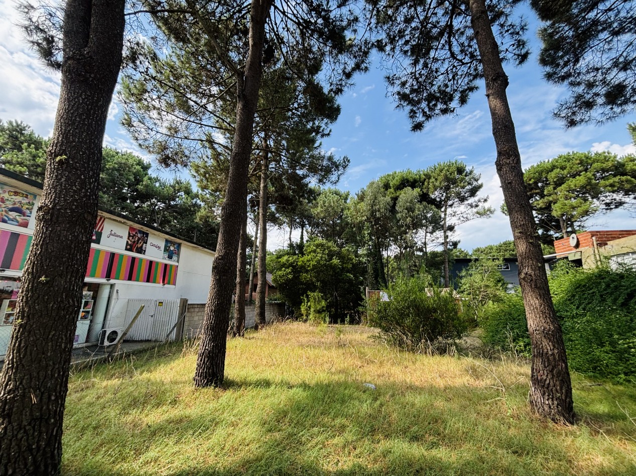 LOTE - 620 MTS - AV CONSTITUCION  