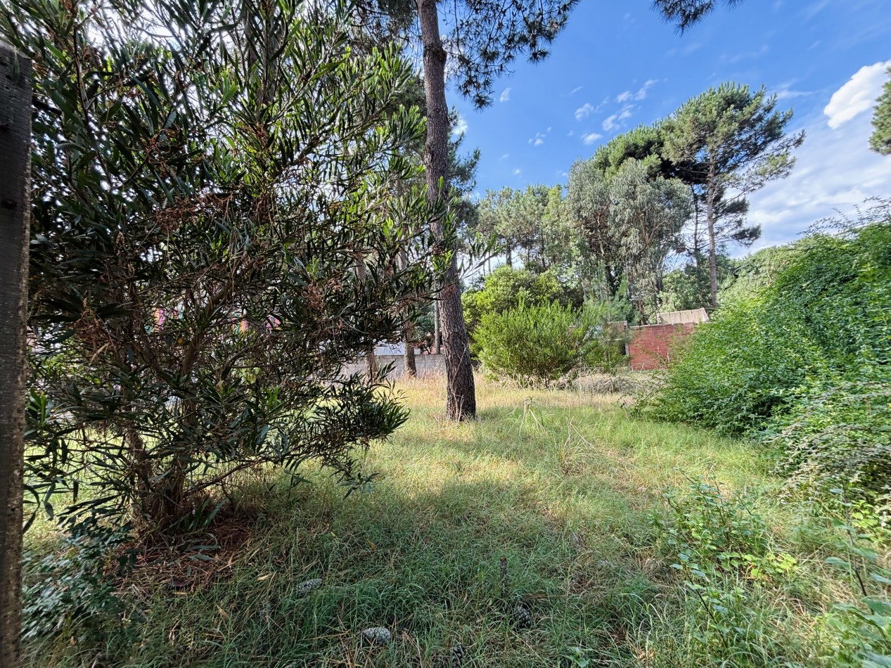 LOTE - 620 MTS - AV CONSTITUCION  