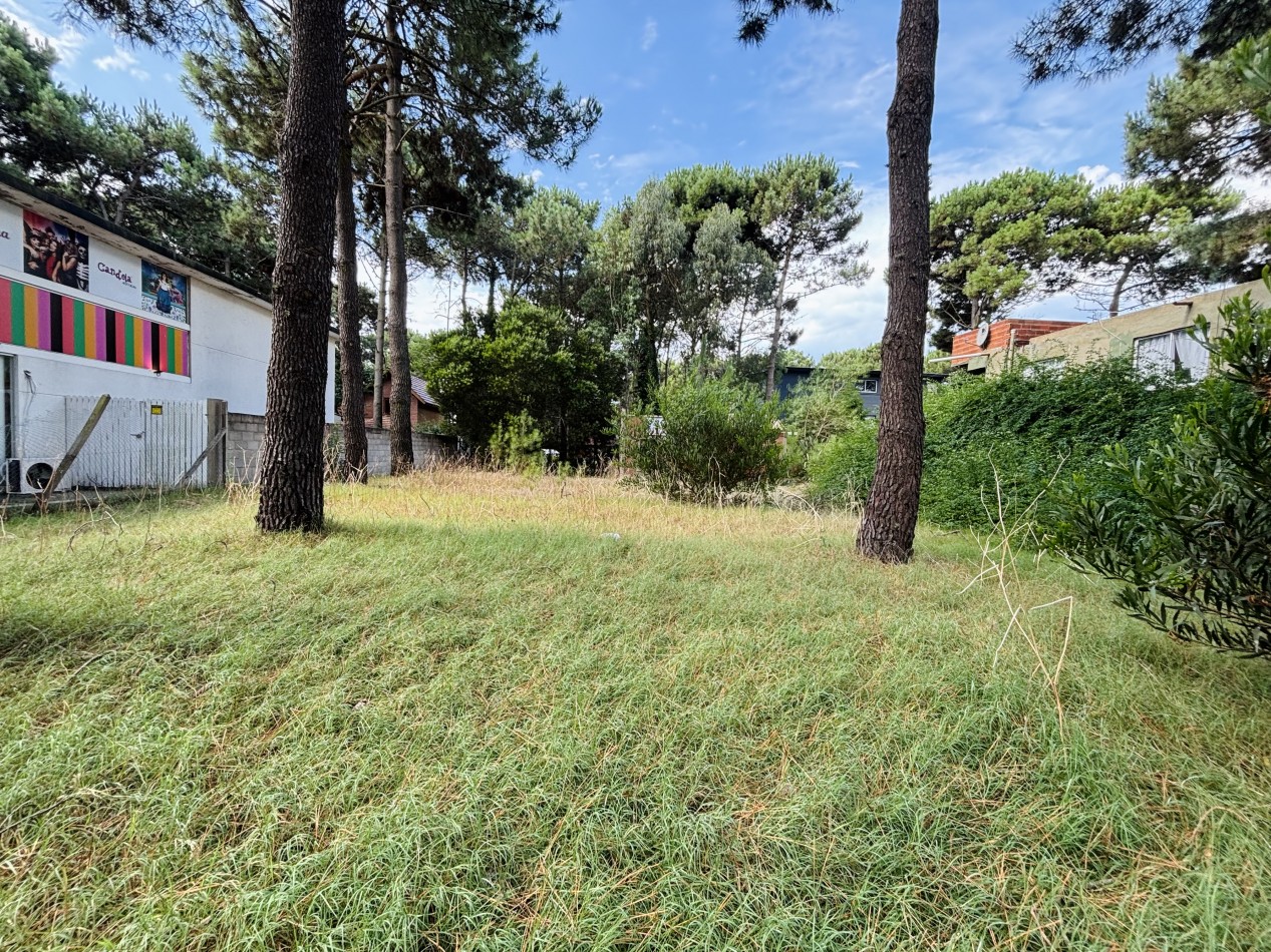 LOTE - 620 MTS - AV CONSTITUCION  