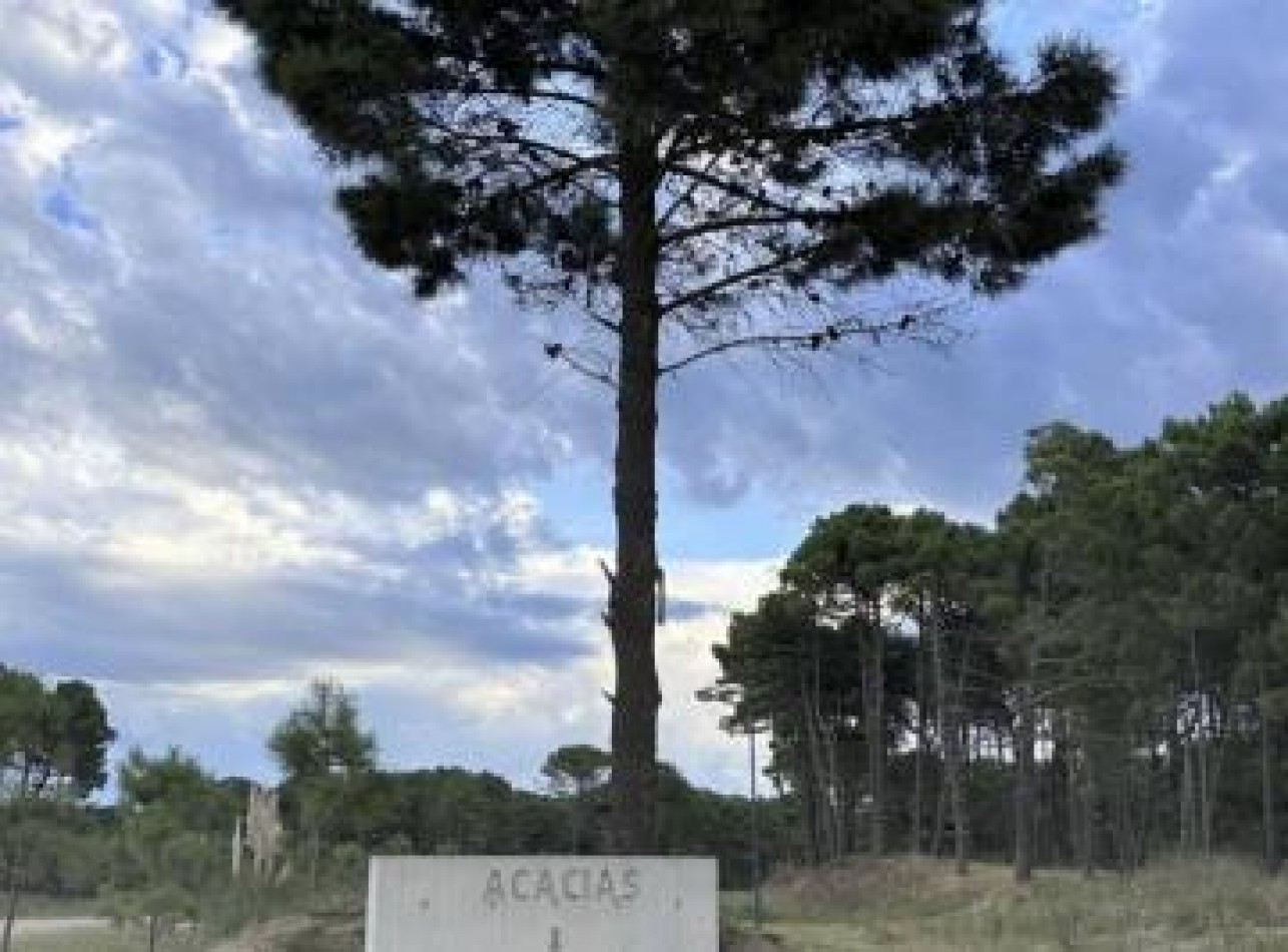 LOTE EN BOSQUES - BARRIO ACACIAS- PINAMAR 