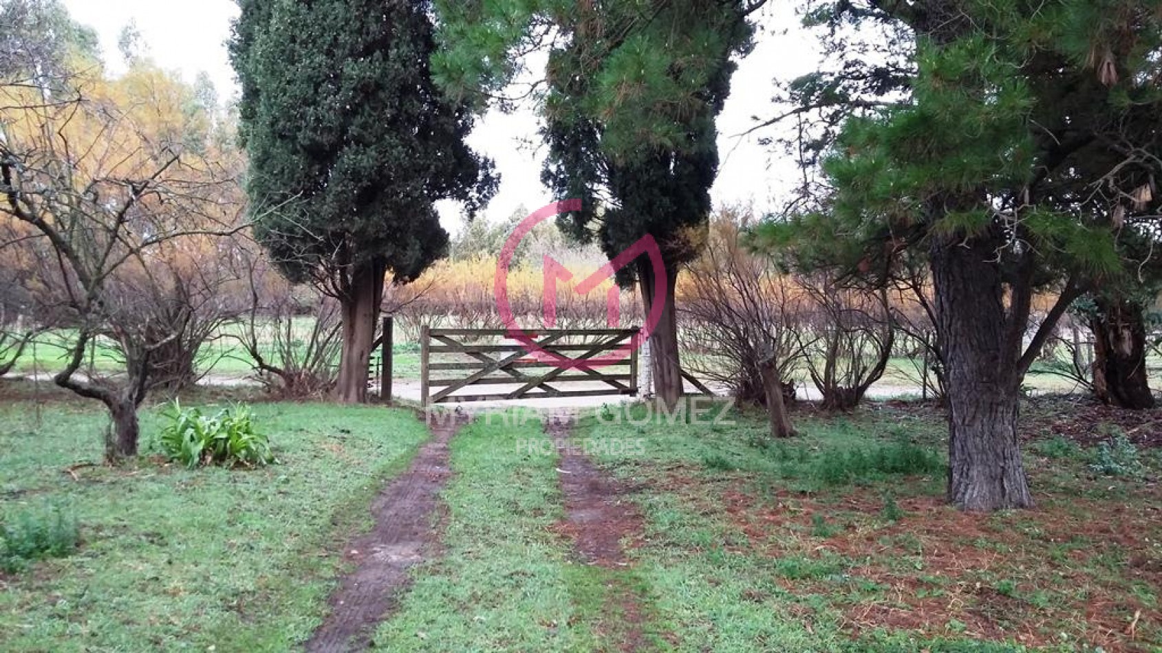 Quinta-Chacra Orense (Pcia de Bsas)