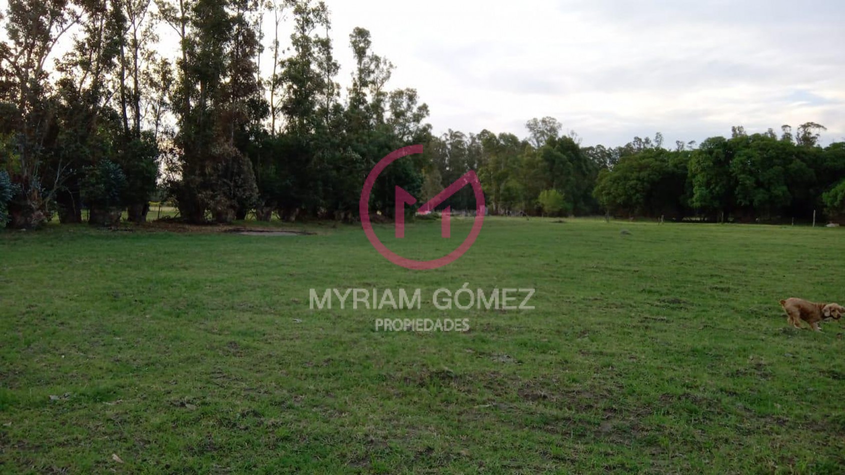 Chacra en Venta Avenida San Martin Orense