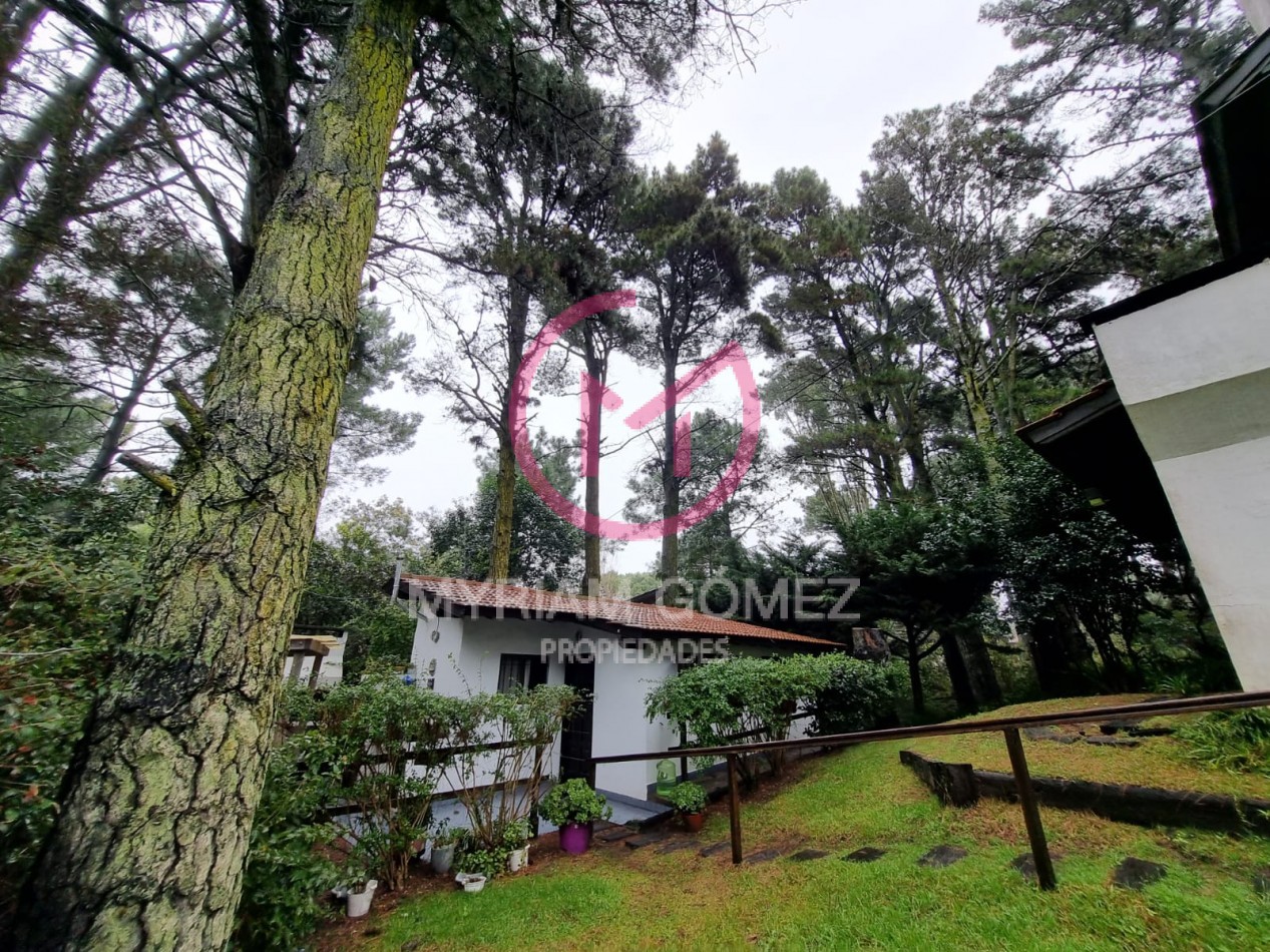 Casa antigua en excelente estado con amplio parque y departamento independiente