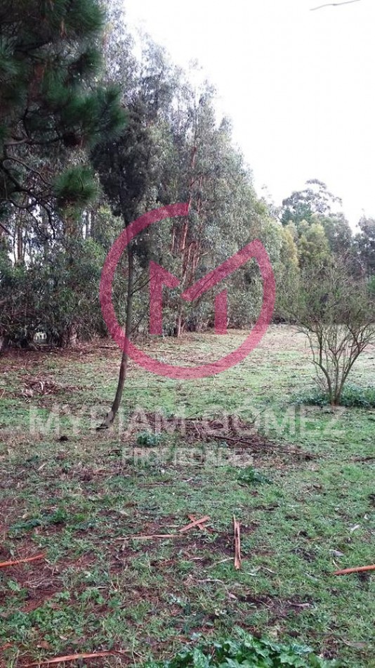 Quinta-Chacra Orense (Pcia de Bsas)