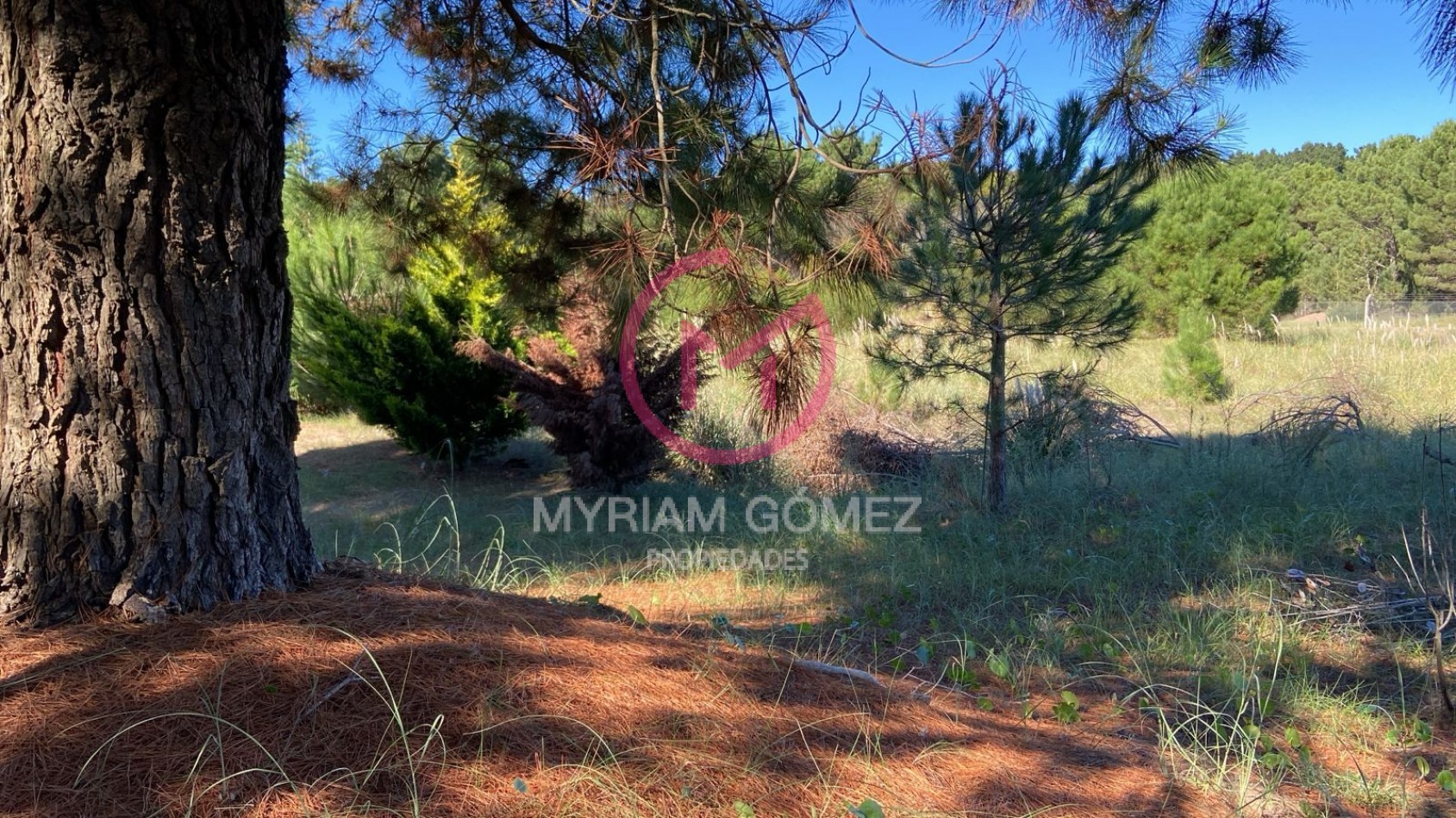 LOTE EN VENTA - ECUESTRE COSTA ESMERALDA