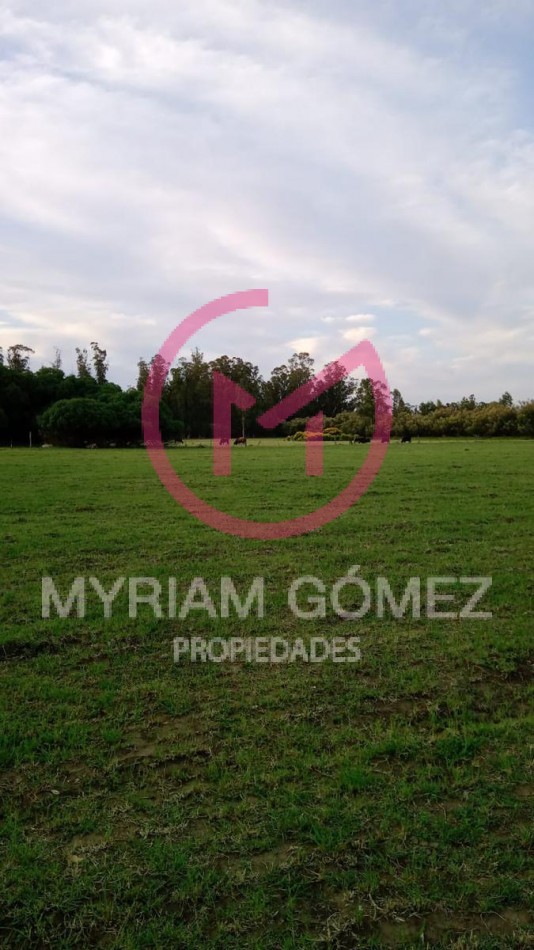 Chacra en Venta Avenida San Martin Orense