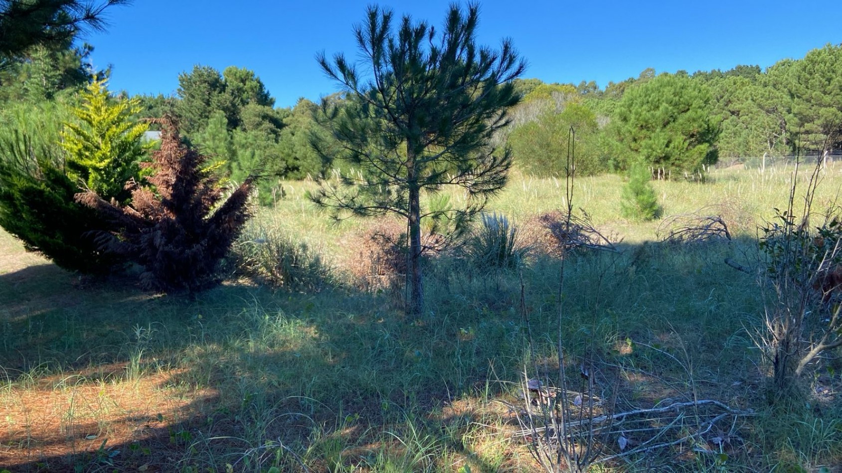 2 EXCELENTES LOTES UNIFICADOS - COSTA ESMERALDA 