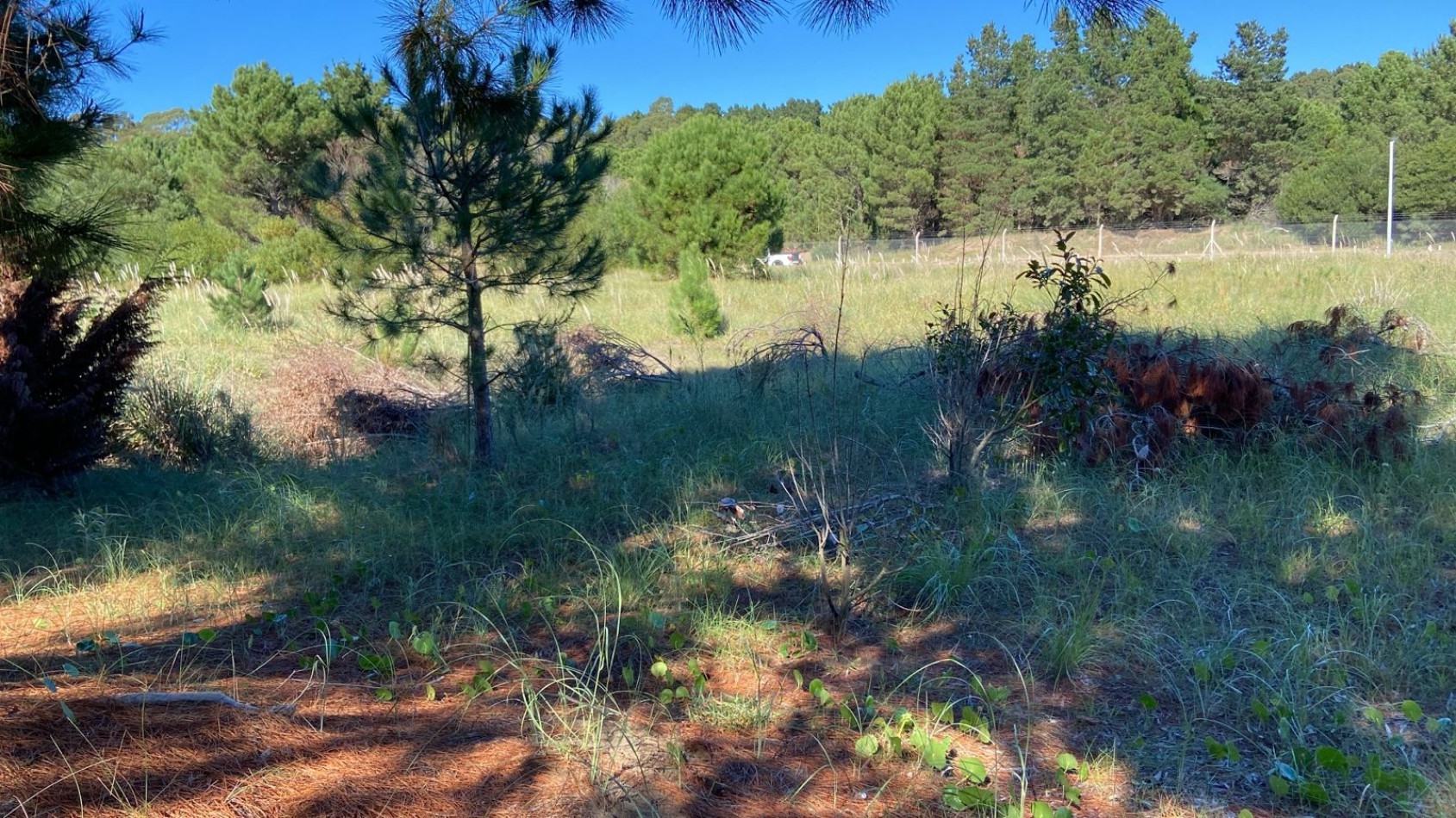 2 EXCELENTES LOTES UNIFICADOS - COSTA ESMERALDA 