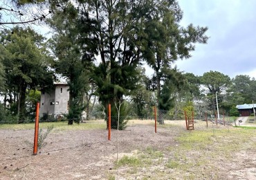 LOTE EN VENTA - Alameda de los Galgos 220 y Calle 313