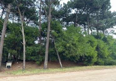 LOTE EN VENTA - PINAMAR