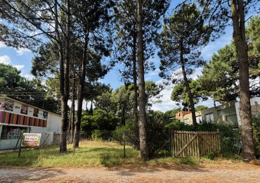 LOTE - 620 MTS - AV CONSTITUCION  