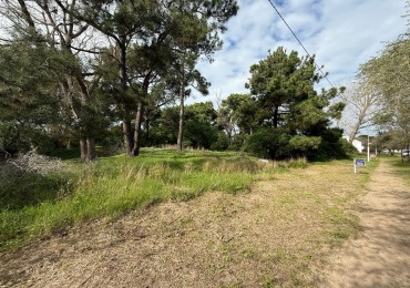 LOTE - OPORTUNIDAD EN VILLA GESELL