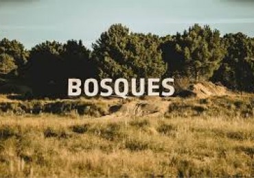 LOTE EN BOSQUES - BARRIO ACACIAS- PINAMAR 