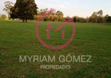 Chacra en Venta Avenida San Martin Orense